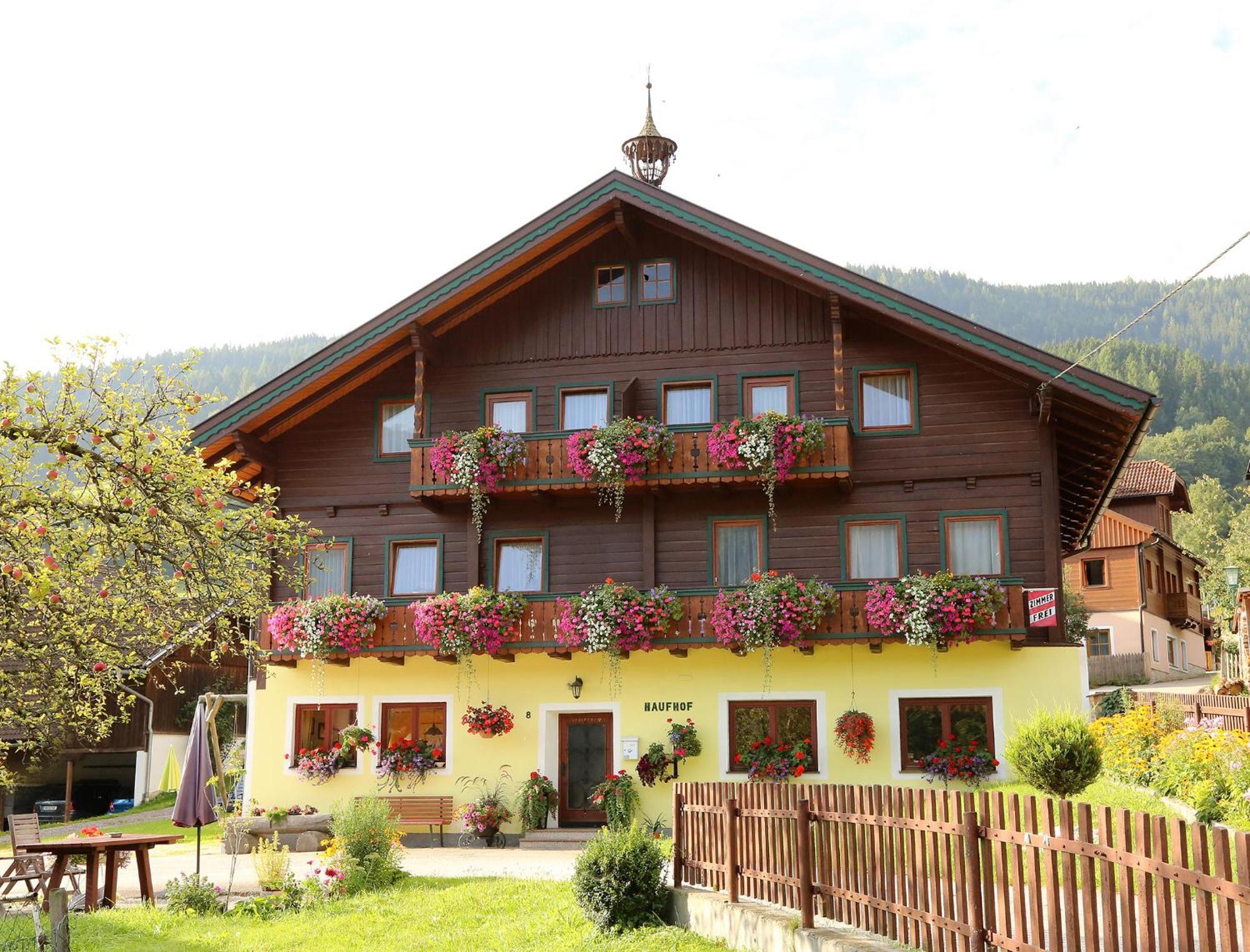 Haufhof-Pension Am Bauernhof, Haus Im Ennstal Bei Schladming Eksteriør billede