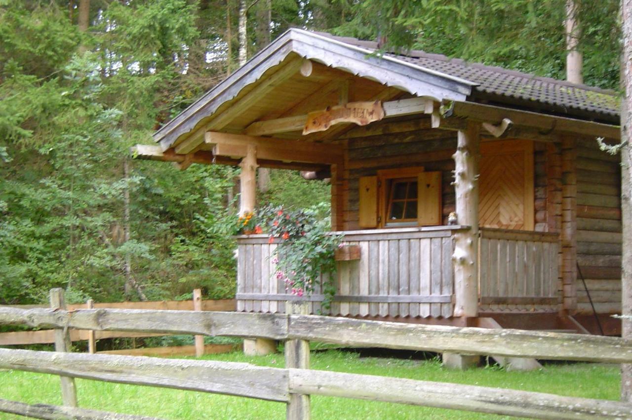 Haufhof-Pension Am Bauernhof, Haus Im Ennstal Bei Schladming Eksteriør billede